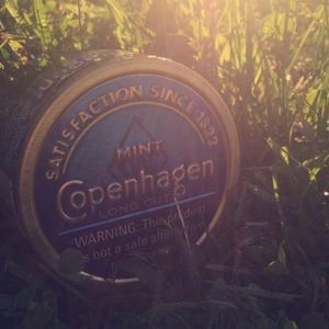 Meet your Posher, Wyatt